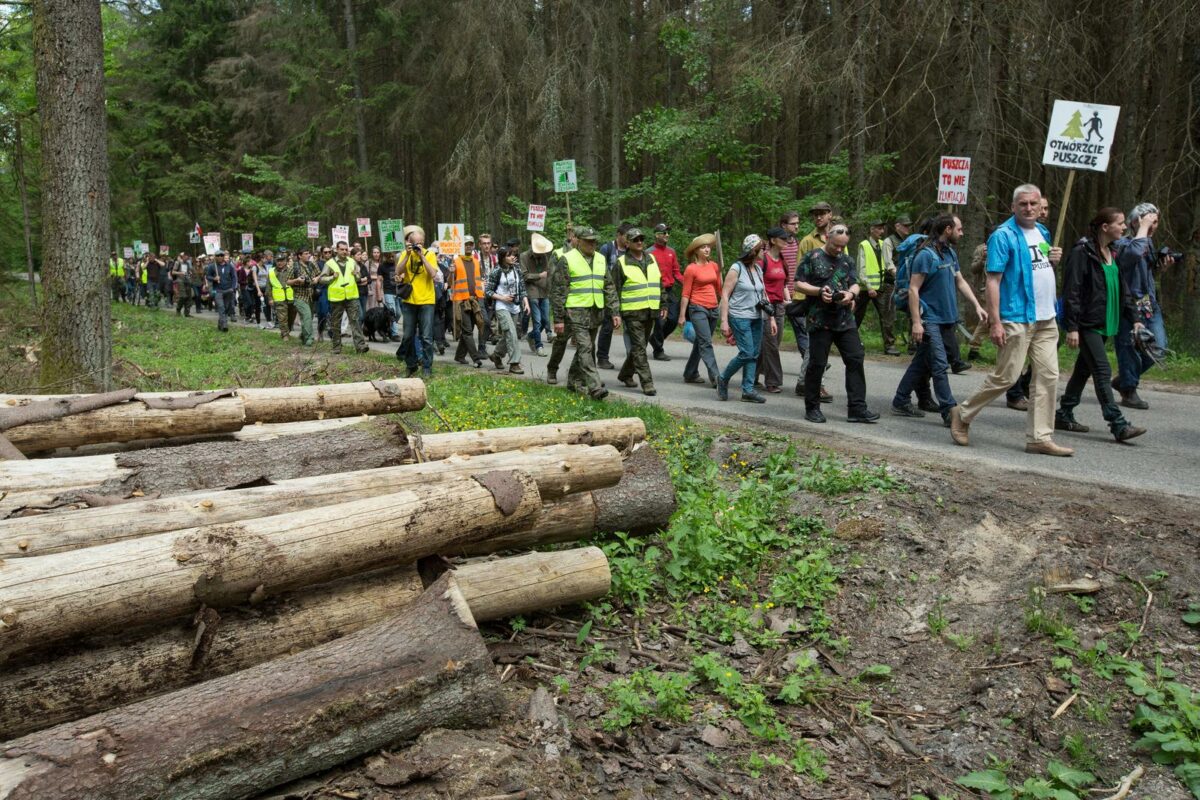 Poljska zaustavlja sječu stabala u svojih deset najvažnijih šuma