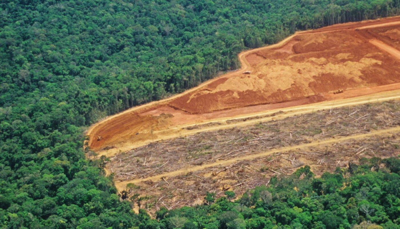 Čak 500 najvećih tvrtki i dalje ne odgovara za deforestaciju