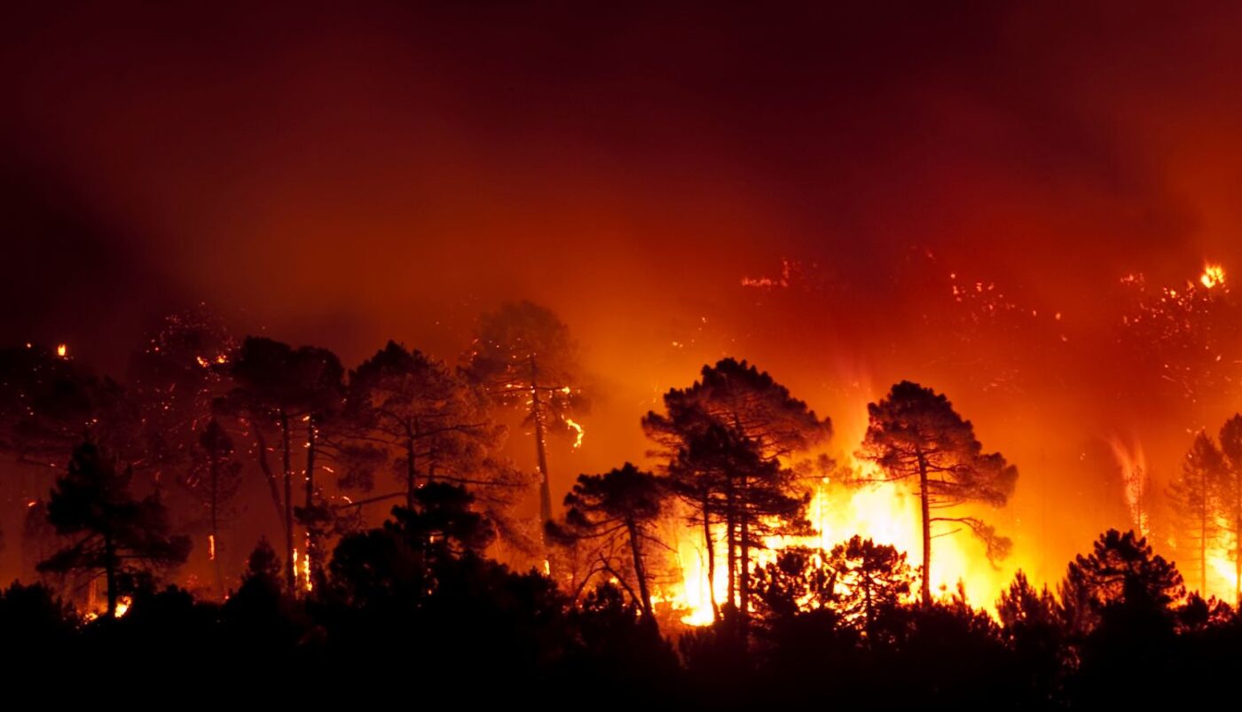Je li Europa spemna za sanaciju prirodnih katastrofa?