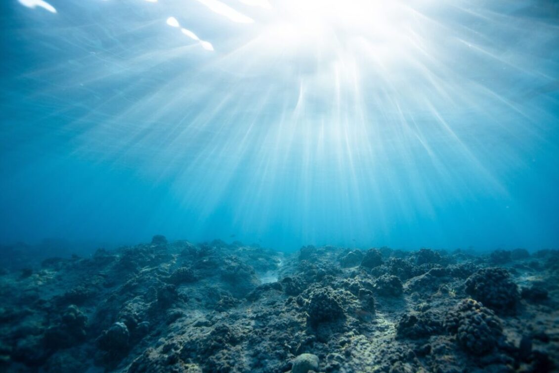 Oceani su suočeni s "trostrukom prijetnjom" ekstremne vrućine, gubitka kisika i zakiseljavanja