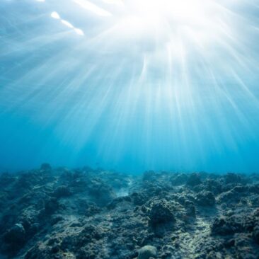 Oceani su suočeni s "trostrukom prijetnjom" ekstremne vrućine, gubitka kisika i zakiseljavanja