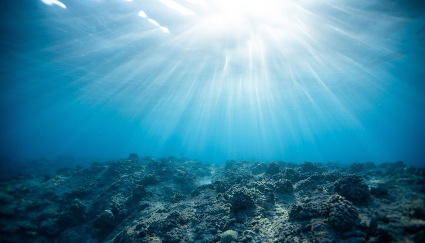 Oceani su suočeni s "trostrukom prijetnjom" ekstremne vrućine, gubitka kisika i zakiseljavanja
